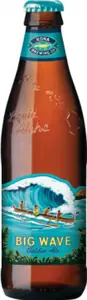 Kona Big Wave
